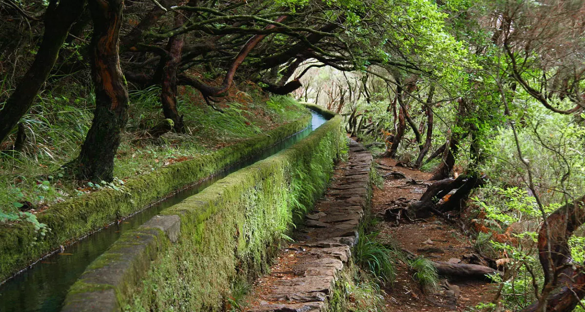 Levadas: Eindrucksvolles Bewässerungssystem auf Madeira | JOEXX | Wikipedia | CC BY-SA 3.0