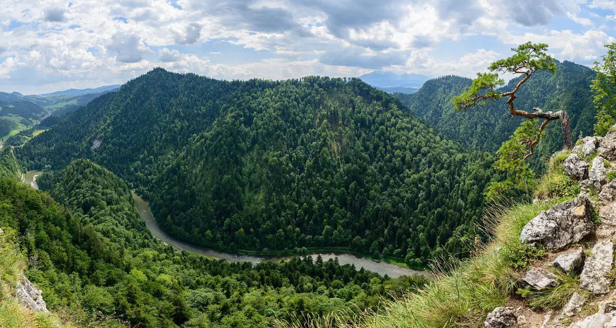 Dunajec-Durchbruch - Canyon im Pieninen-Nationalpark an der Grenze zwischen Polen und der Slowakei | Tomasz2706 | wikivoyage | CC BY 3.0